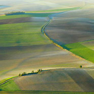 Vers une agriculture biodiversifée