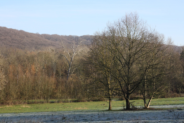 Aménager le paysage pour permettre à la biodiversité de servir l’agriculture
