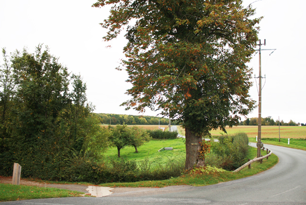 L’arbre des villes et des routes