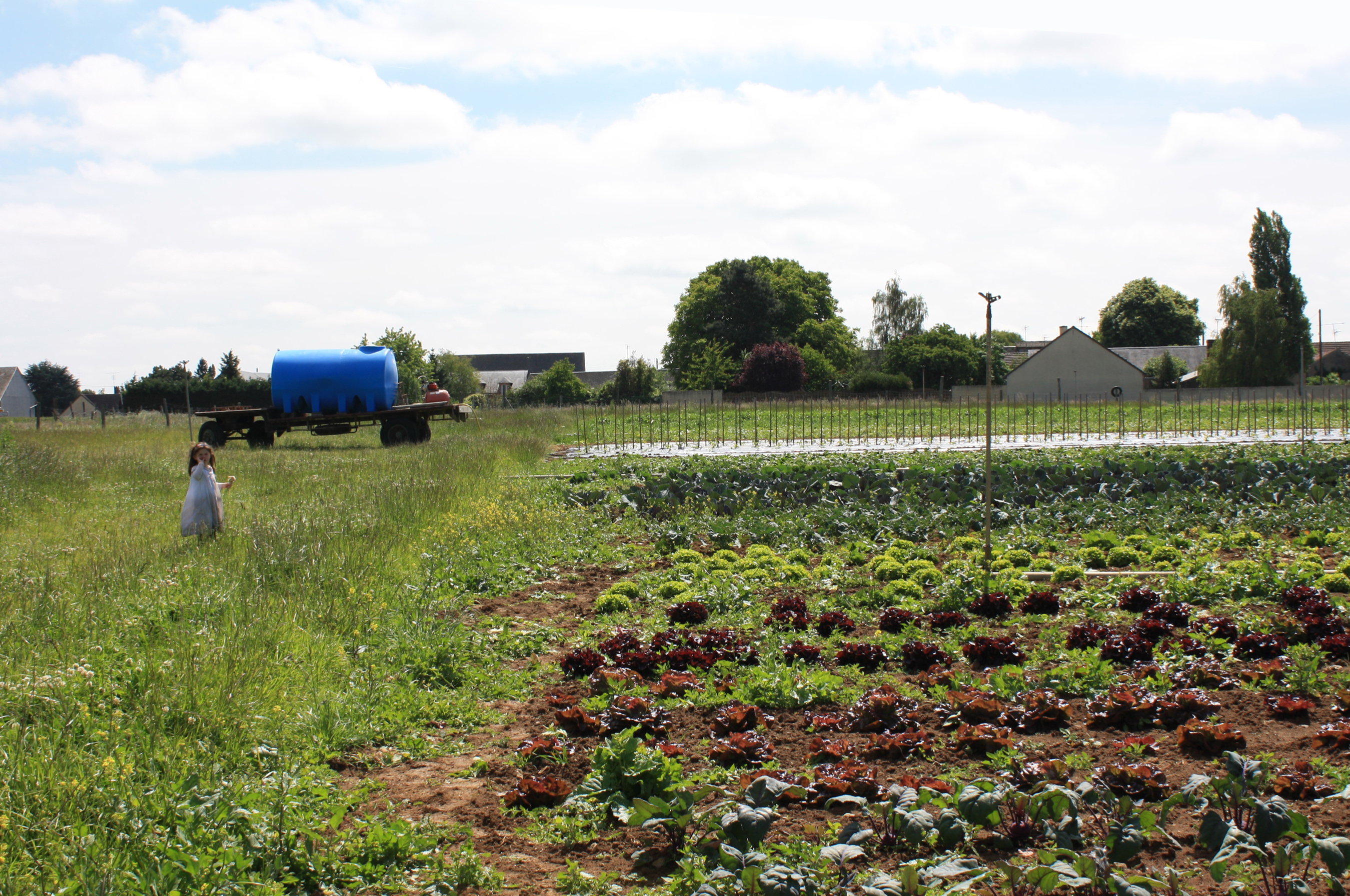 L’agriculture au coeur de l’aménagement urbain