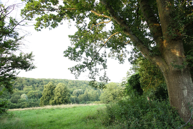 La photographie du paysage