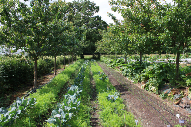 La permaculture