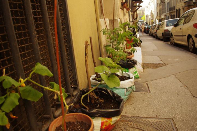 L’espace public jardiné par les habitants