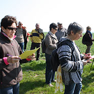 Vers une agriculture biodiversifée