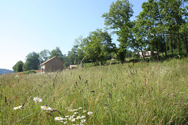 You are currently viewing Le paysage dans les éco-quartiers