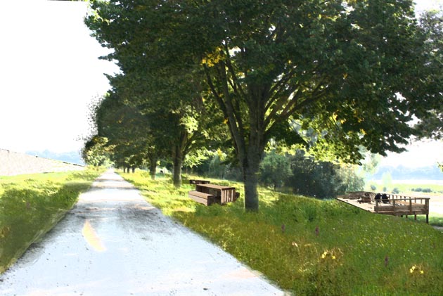 Promenade de l’herbe verte