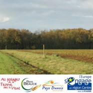 Projet Agro-paysager à Lhopiteau (28)