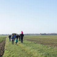 Projet Agro-paysager à Lhopiteau (28)