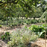 De la ferme au paysage permaculturel