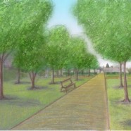 Un parc en coeur de bourg – Villemeux