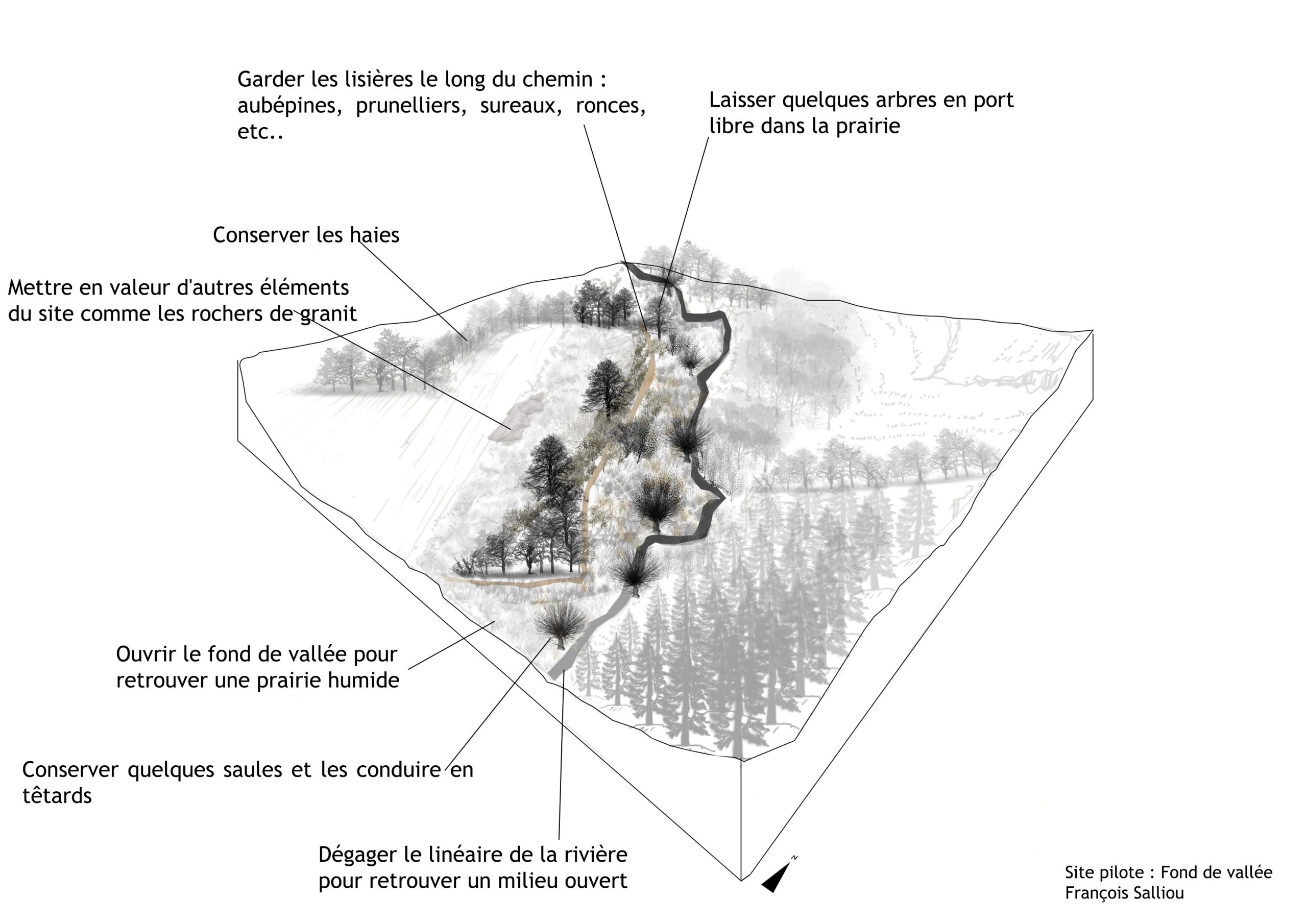 You are currently viewing Valorisation des paysages forestiers à Trémargat (22)