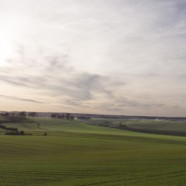 Restauration et valorisation des trames vertes de la plaine de Versailles (78)