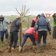 Projet agro-paysager participatif à Lhopiteau (28)