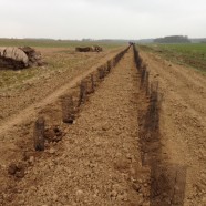 2nd chantier participatif – 900 ml de haies bocagères