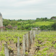 Plan paysage du val de Luynes (37)