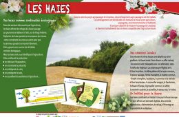 Panneaux et fiches de sensibilisation sur le paysage beauceron