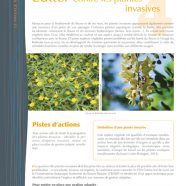 Fiches pratiques sur les covisibilités en bord de Loire