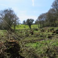 Trémargat – les travaux paysagers ont commencé