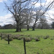 Site de la Chênaie à Oussières – QUESTIONNAIRE