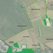 Proposition de dispositifs favorables à la biodiversité sur un corridor agricole à Beynes (Yvelines)