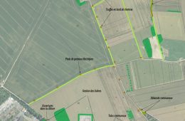 Proposition de dispositifs favorables à la biodiversité sur un corridor agricole à Beynes (Yvelines)