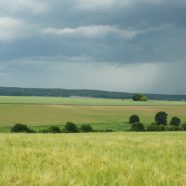 Développement de la biodiversité sur les exploitations agricoles de la plaine de Bailly (Yvelines)