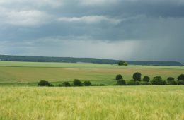 Développement de la biodiversité sur les exploitations agricoles de la plaine de Bailly (Yvelines)