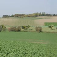 Trames vertes dans la plaine de versailles