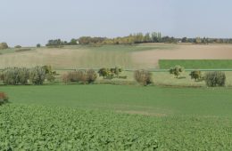 Trames vertes dans la plaine de versailles