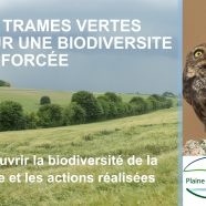 Plaquette sur les trames vertes