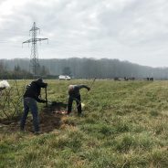 Chantier participatif sur la frange du plateau de Saclay (91)