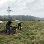Chantier participatif sur la frange du plateau de Saclay (91)