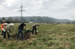 Chantier participatif sur la frange du plateau de Saclay (91)