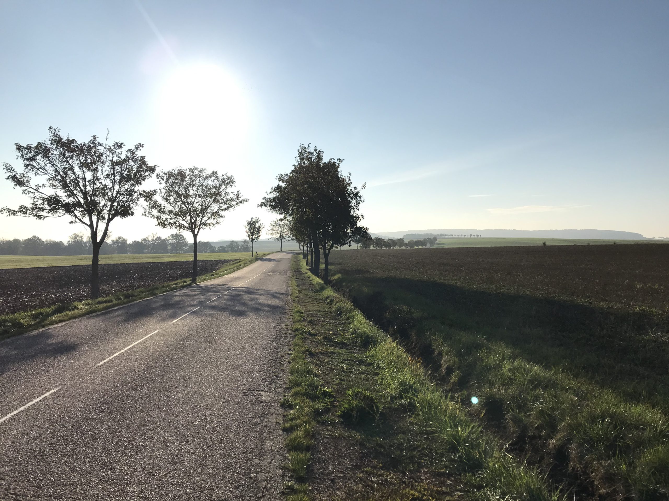 Lire la suite à propos de l’article Plan paysage et plantations – Meurthe-et-Moselle (54)