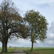 Plan paysage et plantations – Meurthe-et-Moselle