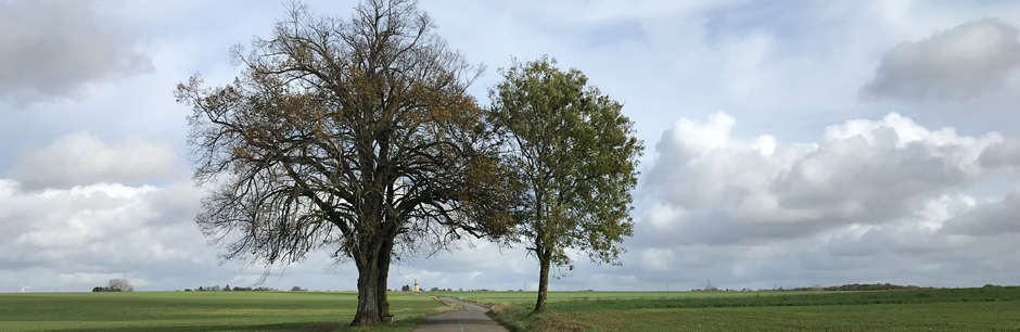 Plan paysage et plantations – Meurthe-et-Moselle