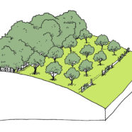 Plan paysage et plantations – Meurthe-et-Moselle