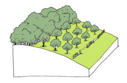 Plan paysage et plantations – Meurthe-et-Moselle