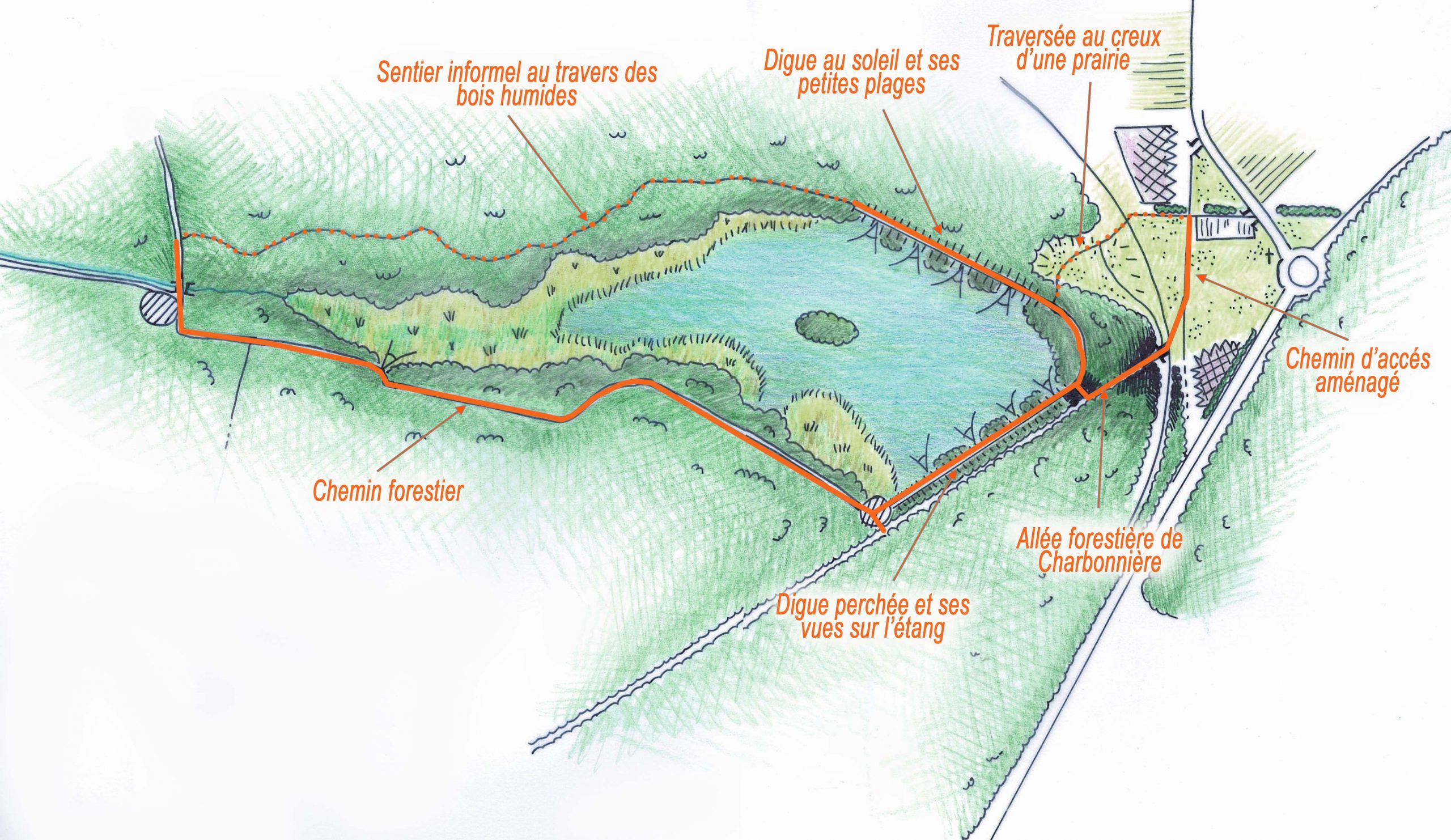 You are currently viewing Valorisation de l’étang du Ruet (45)