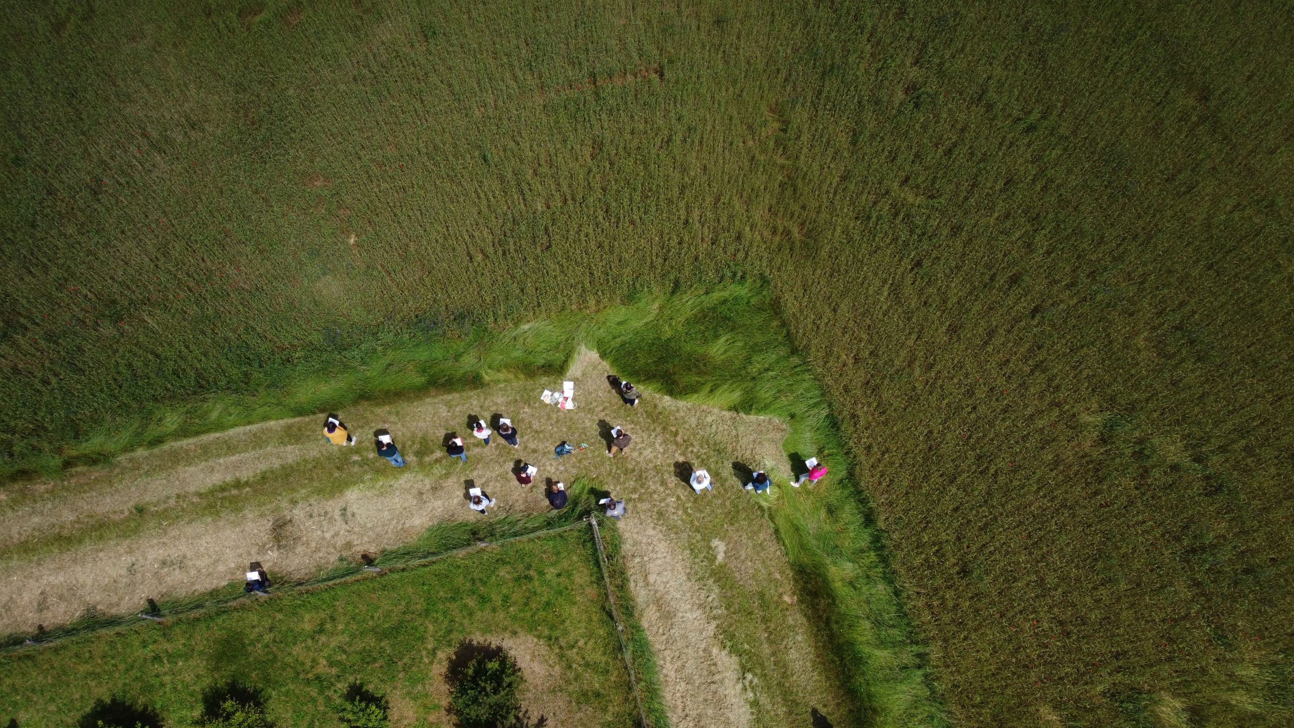 Lire la suite à propos de l’article Journée inter-Parcs sur l’agroforesterie