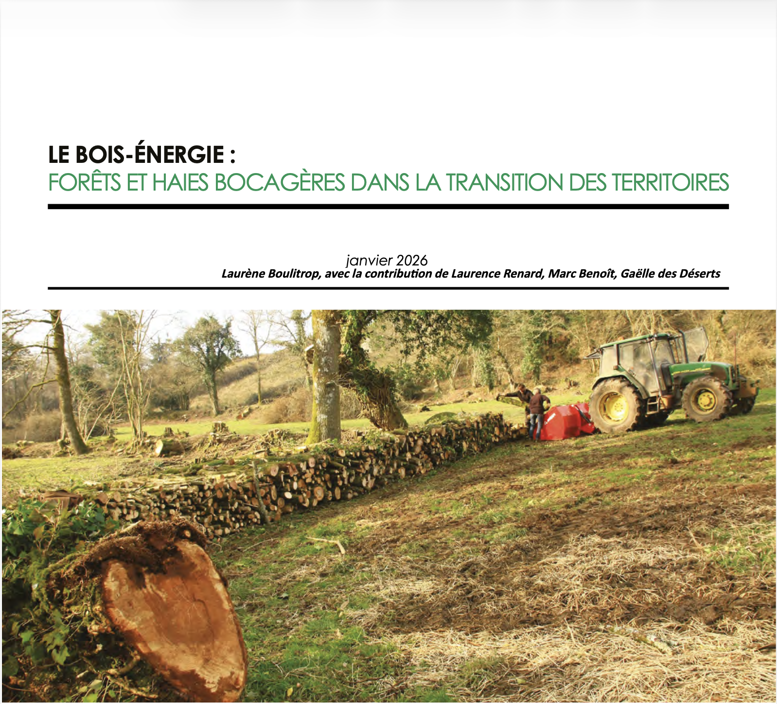 You are currently viewing Article sur le bois-énergie