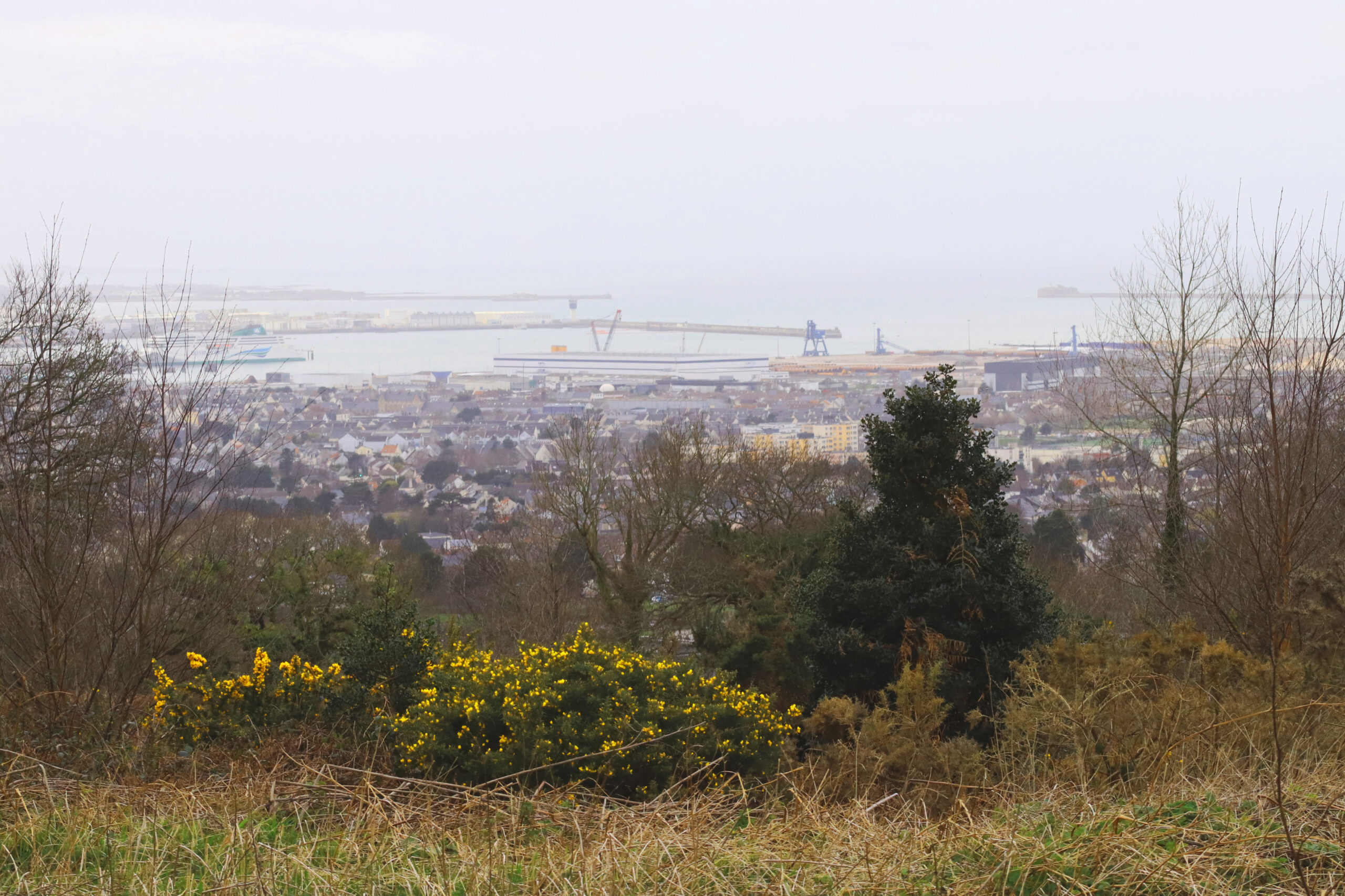 Vous consultez actuellement OAP Paysage sur l&rsquo;agglomération de Cherbourg